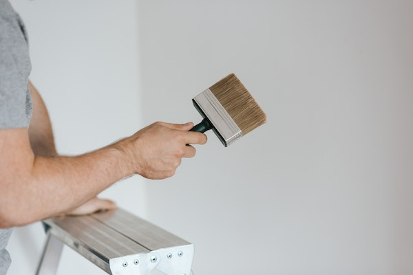 What Are Different Types Of House Paint?